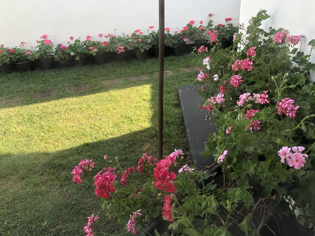Bungalow 28 Nuwara Eliya Zewnętrze zdjęcie
