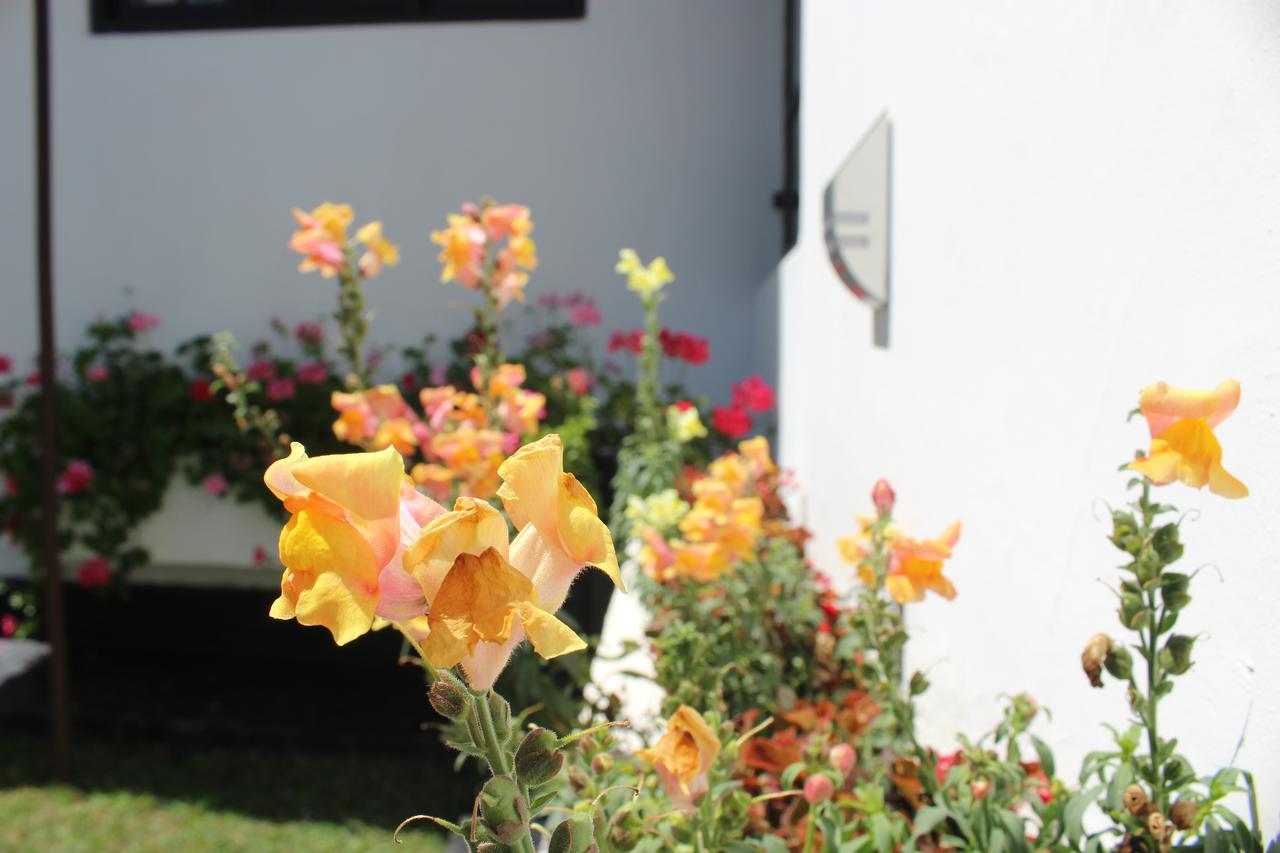 Bungalow 28 Nuwara Eliya Zewnętrze zdjęcie