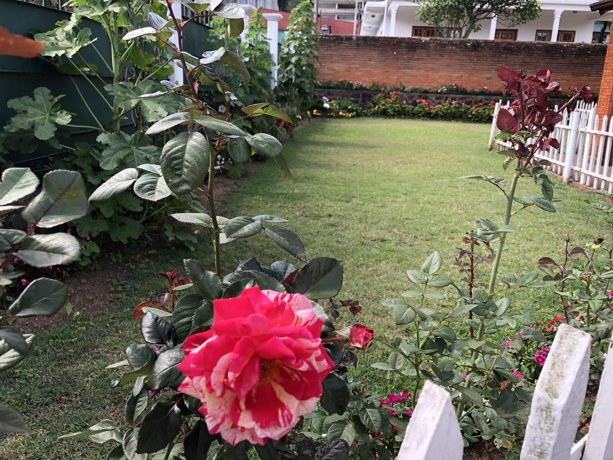 Bungalow 28 Nuwara Eliya Zewnętrze zdjęcie